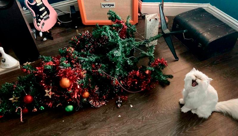 Отпугиватель котов от ёлки на Ардуино