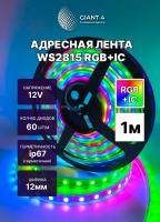 Адресная лента WS2815 12V 60 led IP67