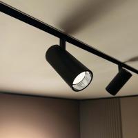 Трековый светильник Спот Tuya Spot 48v CCT (ZigBee)