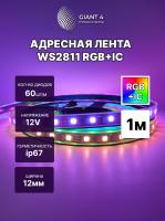 Адресная лента WS2811 60 led ip67