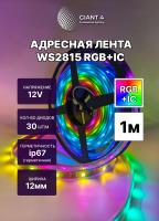 Адресная лента WS2815 12V 30 led IP68