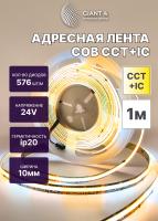 Адресная лента COB CCT+IC 24v 20W 576led ip20