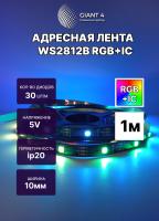 Адресная светодиодная лента WS2812b 30 led