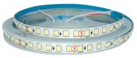 Светодиодная лента 2835 Standard 12 вт 12v / 24v 120 led